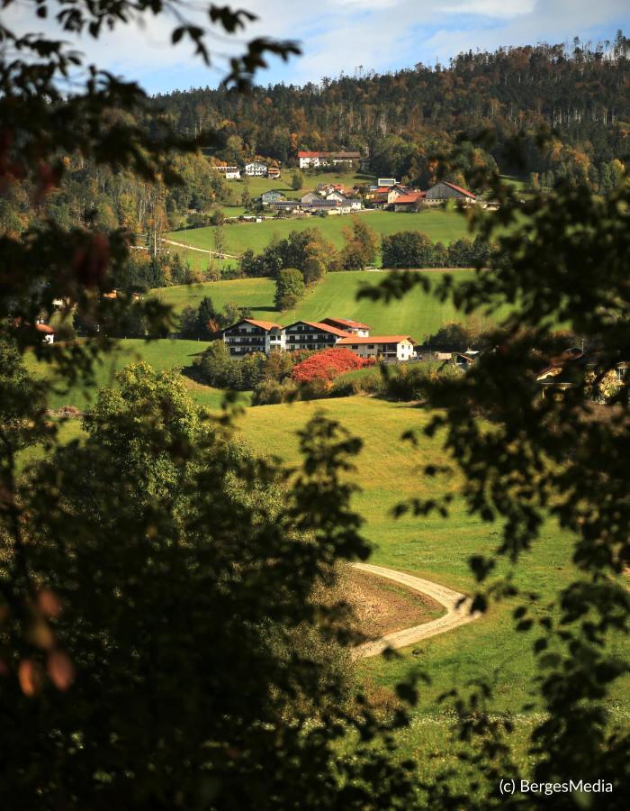 Appartement Hauzenberg-Panorama Dış mekan fotoğraf